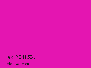 Hex #e415b1 Color Image