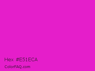 Hex #e51eca Color Image