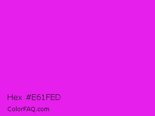 Hex #e61fed Color Image