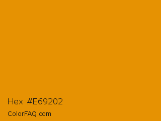 Hex #e69202 Color Image