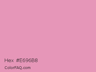 Hex #e696b8 Color Image