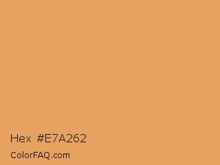 Hex #e7a262 Color Image