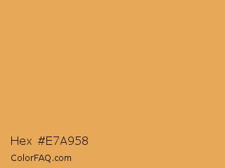 Hex #e7a958 Color Image