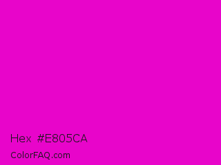 Hex #e805ca Color Image