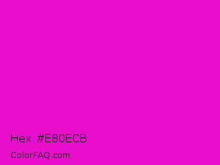 Hex #e80ecb Color Image