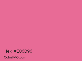 Hex #e86b96 Color Image