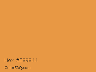 Hex #e89844 Color Image