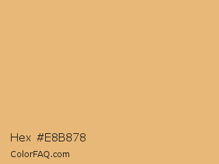 Hex #e8b878 Color Image