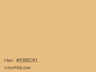 Hex #e8bd81 Color Image