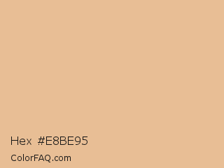 Hex #e8be95 Color Image
