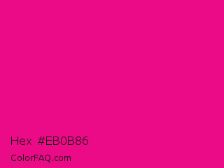 Hex #eb0b86 Color Image