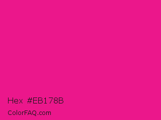Hex #eb178b Color Image