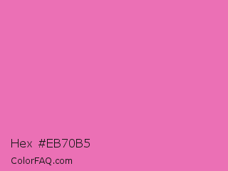 Hex #eb70b5 Color Image
