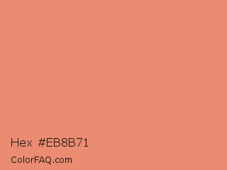 Hex #eb8b71 Color Image
