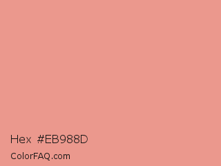 Hex #eb988d Color Image