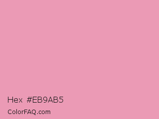 Hex #eb9ab5 Color Image