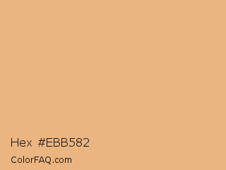 Hex #ebb582 Color Image