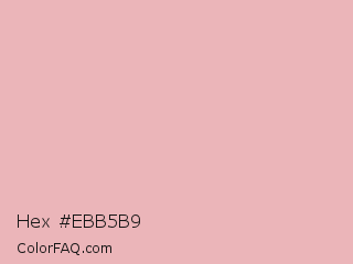 Hex #ebb5b9 Color Image