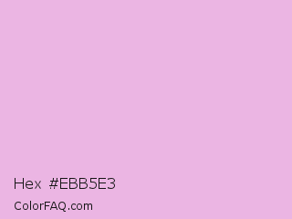 Hex #ebb5e3 Color Image
