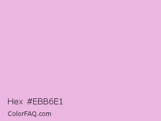 Hex #ebb6e1 Color Image