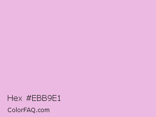 Hex #ebb9e1 Color Image