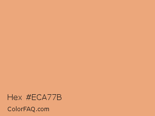 Hex #eca77b Color Image