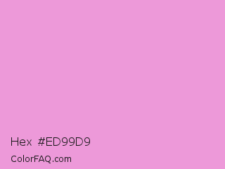 Hex #ed99d9 Color Image
