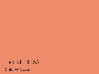 Hex #ee8b6a Color Image