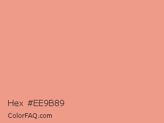 Hex #ee9b89 Color Image