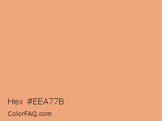 Hex #eea77b Color Image