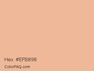 Hex #efb898 Color Image