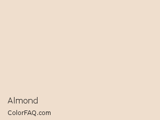 Hex #efdecd Almond Color Image