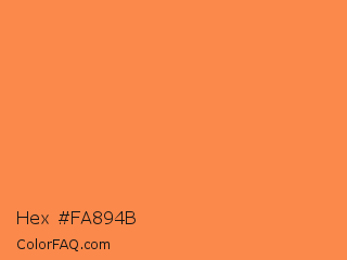 Hex #fa894b Color Image