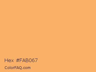 Hex #fab067 Color Image