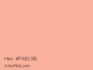 Hex #fab19b Color Image