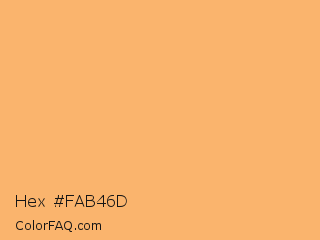Hex #fab46d Color Image