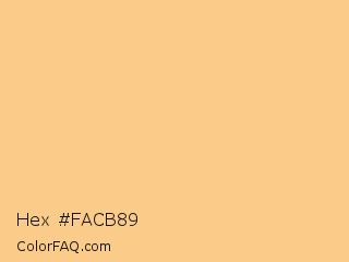 Hex #facb89 Color Image