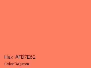 Hex #fb7e62 Color Image