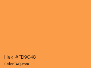 Hex #fb9c48 Color Image