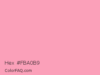 Hex #fba0b9 Color Image