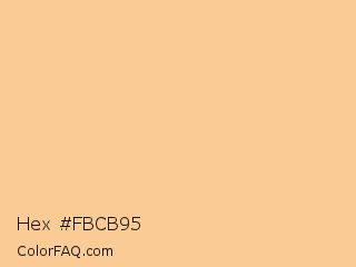 Hex #fbcb95 Color Image