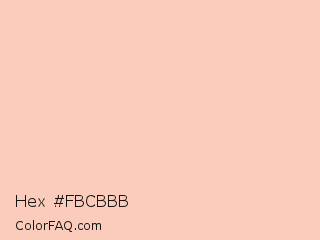 Hex #fbcbbb Color Image