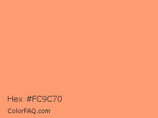Hex #fc9c70 Color Image