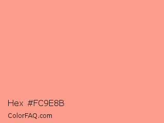 Hex #fc9e8b Color Image