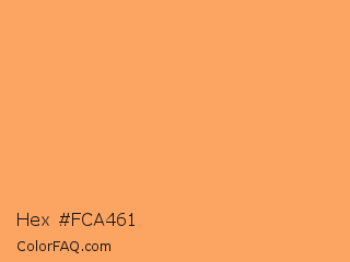 Hex #fca461 Color Image