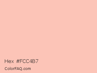 Hex #fcc4b7 Color Image