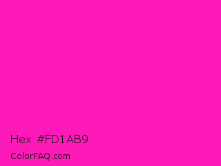 Hex #fd1ab9 Color Image