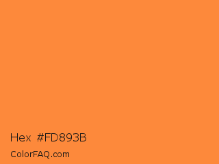 Hex #fd893b Color Image