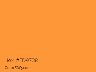 Hex #fd9738 Color Image