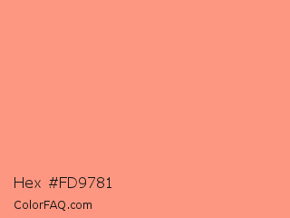 Hex #fd9781 Color Image